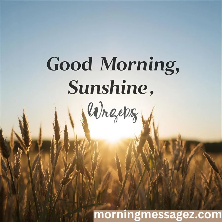 Friendly Good Morning Sunshine Wishes