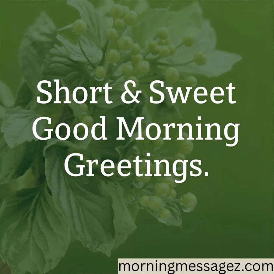 Short & Sweet Good Morning Greetings