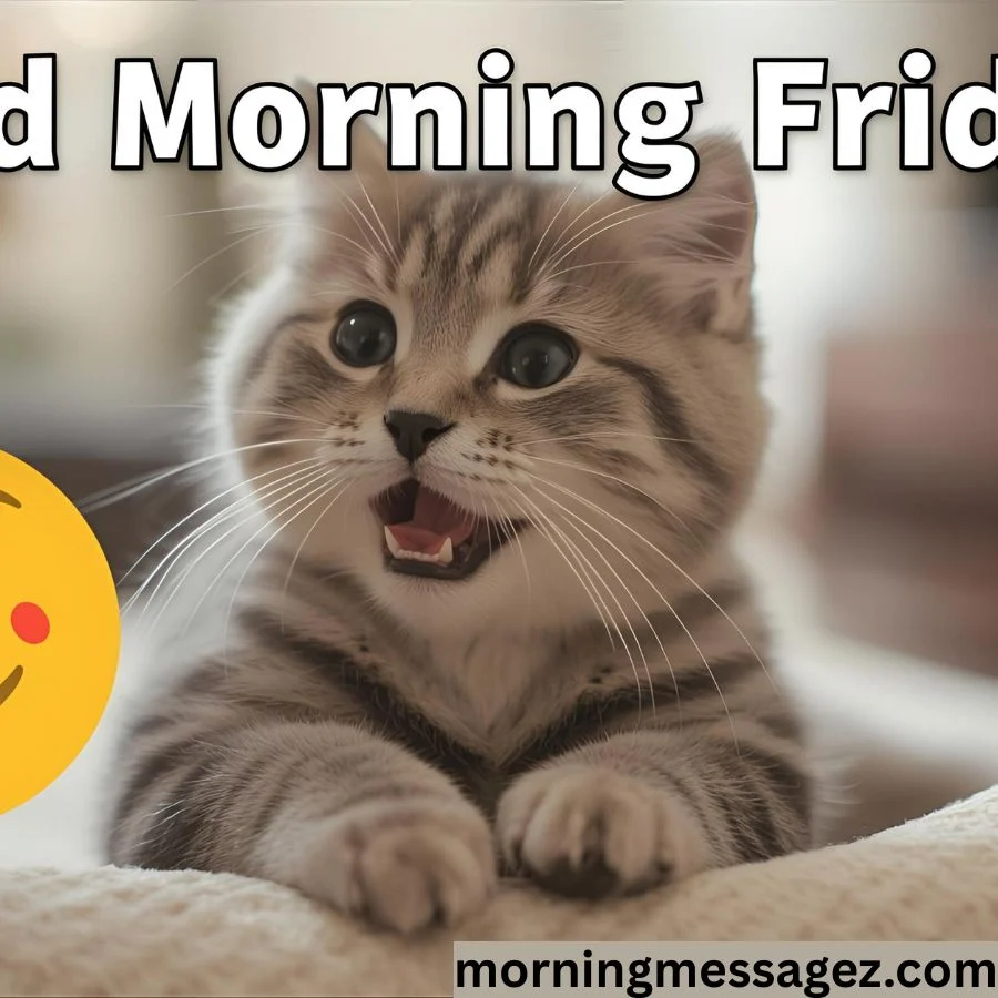 Cute Good Morning Friday GIFs