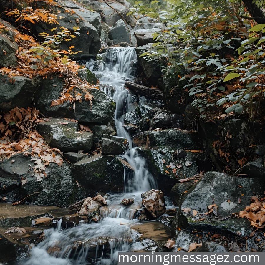 Peaceful & Calm Tuesday Blessings