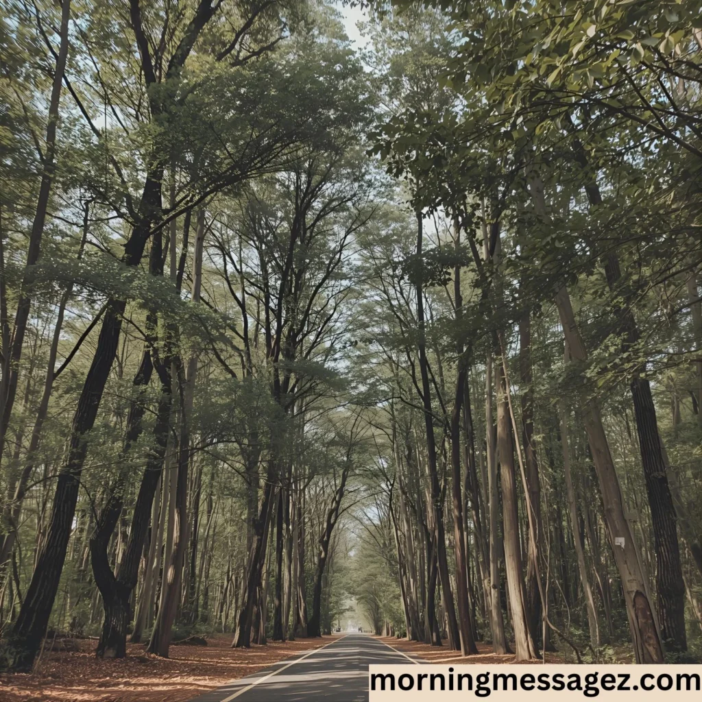 Short & Cute Good Morning Texts