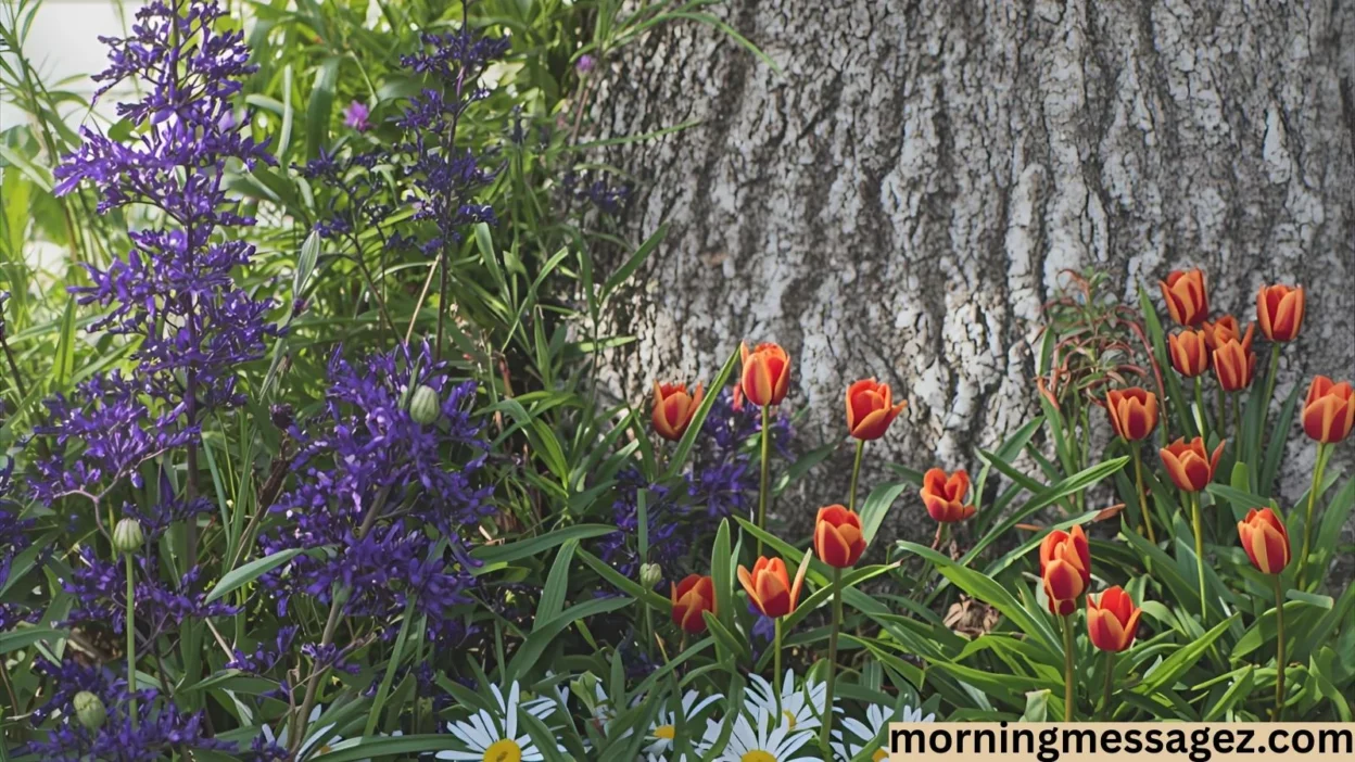 Good Tuesday Morning: Inspiring Wishes to Brighten Your Day